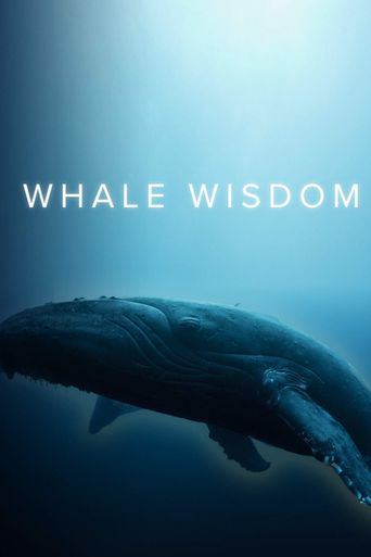  Whale Wisdom Poster