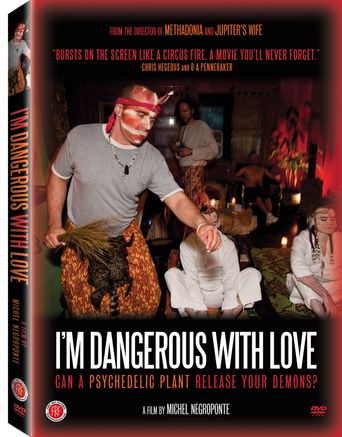  I'm Dangerous With Love Poster