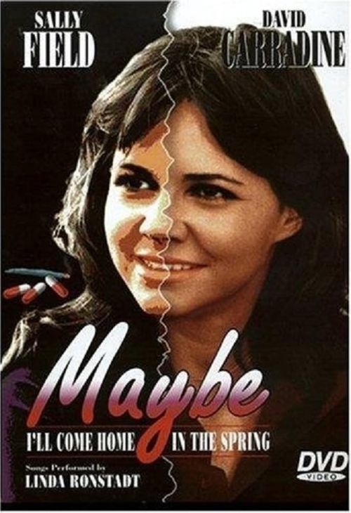 Maybe I'll Come Home in the Spring Poster