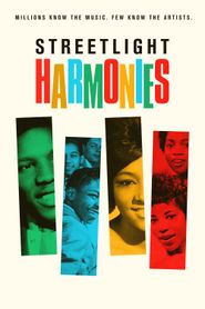 Streetlight Harmonies Poster