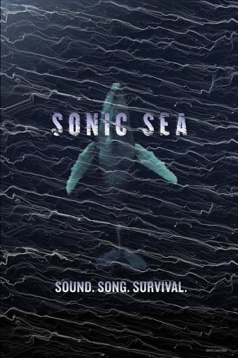  Sonic Sea Poster