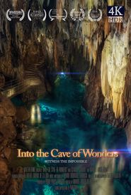  Into the Cave of Wonders Poster