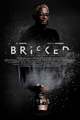  Bricked Poster