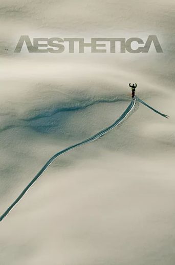  Aesthetica Poster