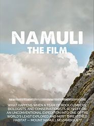  Namuli Poster