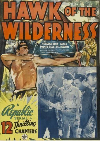  Hawk of the Wilderness Poster