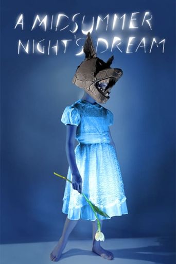  Julie Taymor's A Midsummer Night's Dream Poster