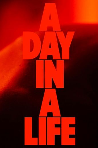  A Day in a Life Poster