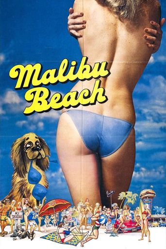  Malibu Beach Poster