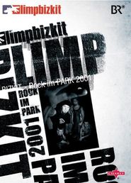  Limp Bizkit: Rock in the Park 2001, Remix Poster
