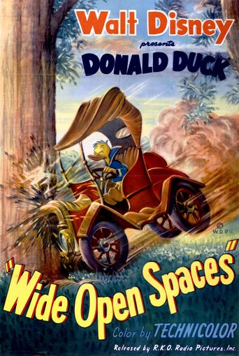  Wide Open Spaces Poster