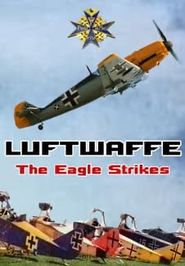 Luftwaffe: The Eagle Strikes Poster