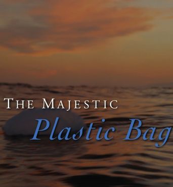  The Majestic Plastic Bag Poster