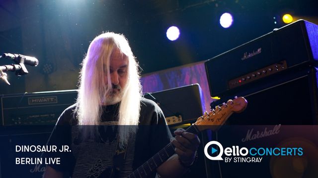 Dinosaur Jr. Backdrop