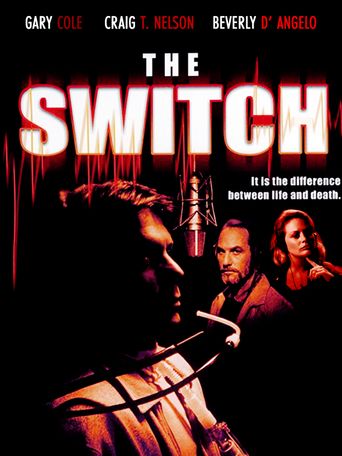  The Switch Poster