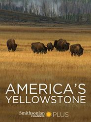 America's Yellowstone Poster