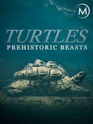  Turtles: Prehistoric Beasts Poster