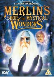  Merlin's Shop of Mystical Wonders Poster