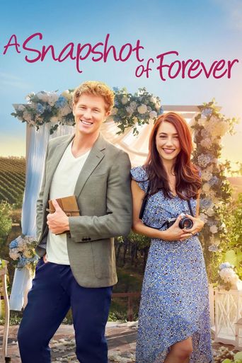  A Snapshot of Forever Poster