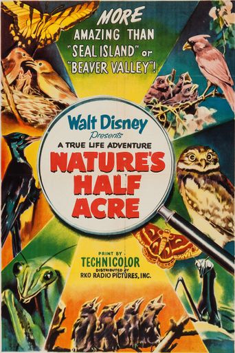  Nature's Half Acre Poster