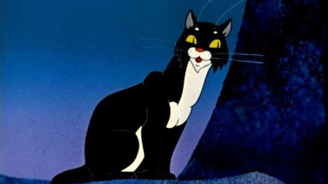 The Cat Who Walked by Herself Backdrop