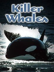  Killer Whales: Up Close and Personal Poster