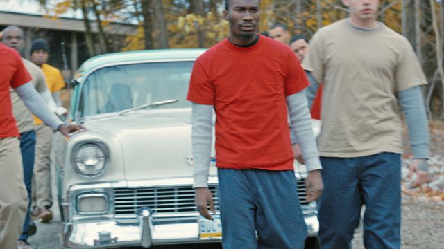 Stealing Cars Backdrop