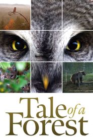  Tale of a Forest Poster