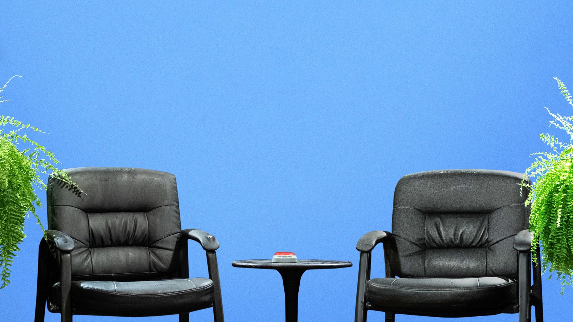 Between Two Ferns: The Movie Backdrop