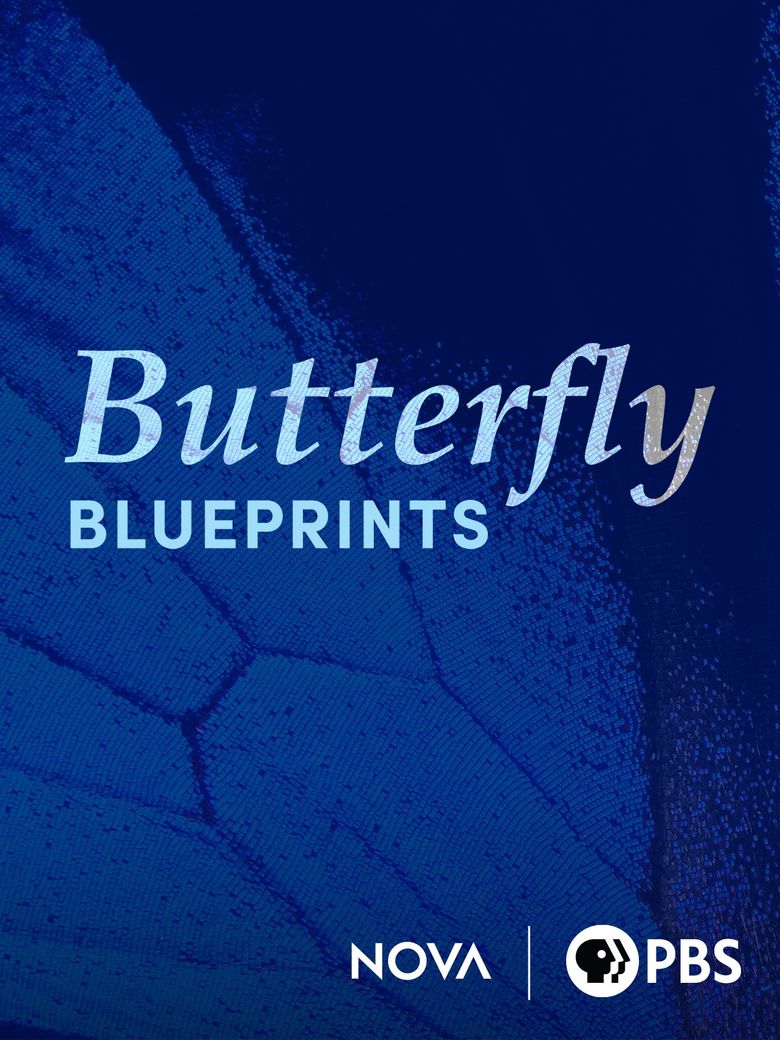 Butterfly Blueprints