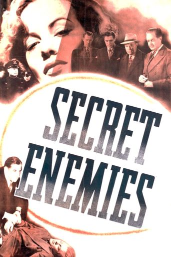  Secret Enemies Poster