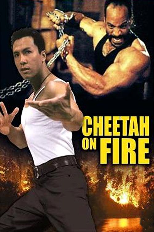 Cheetah On Fire Poster