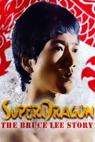  The Dragon Story Poster