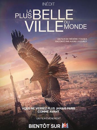 Paris: A Wild Story Poster