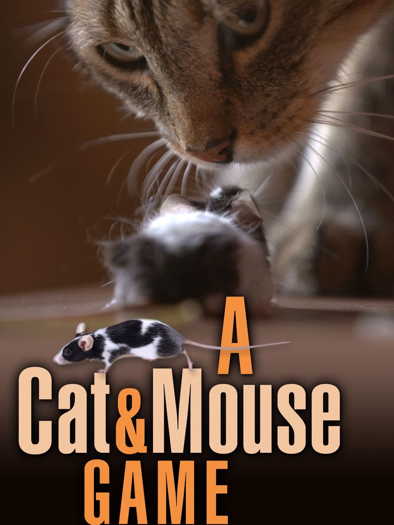 A Cat and Mouse Game Poster