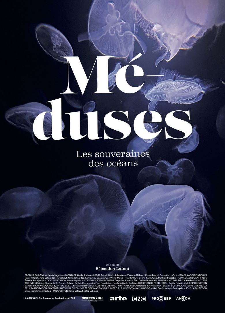 Méduses - Les souveraines des océans