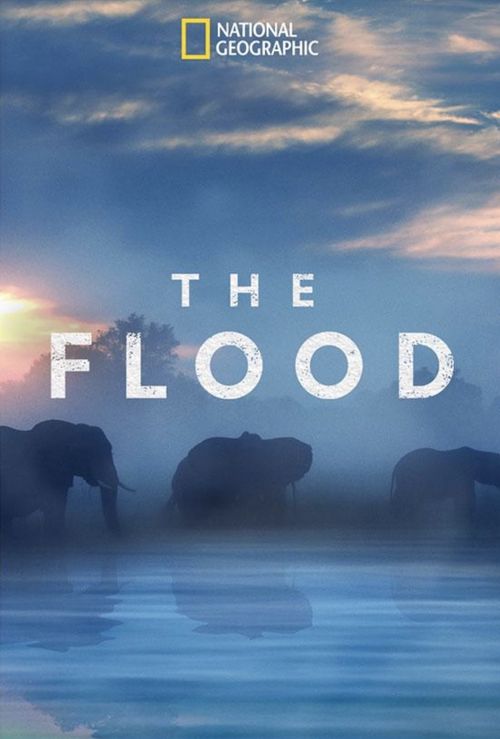The Flood Poster