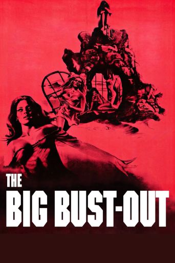 The Big Bust-Out Poster