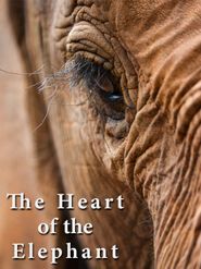  The Heart of the Elephant Poster