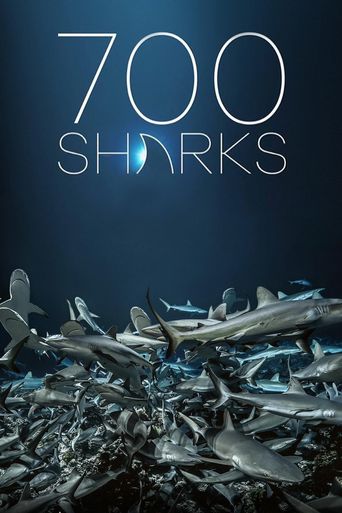  700 Sharks Poster