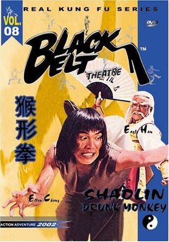  The Shaolin Chief Cook Poster