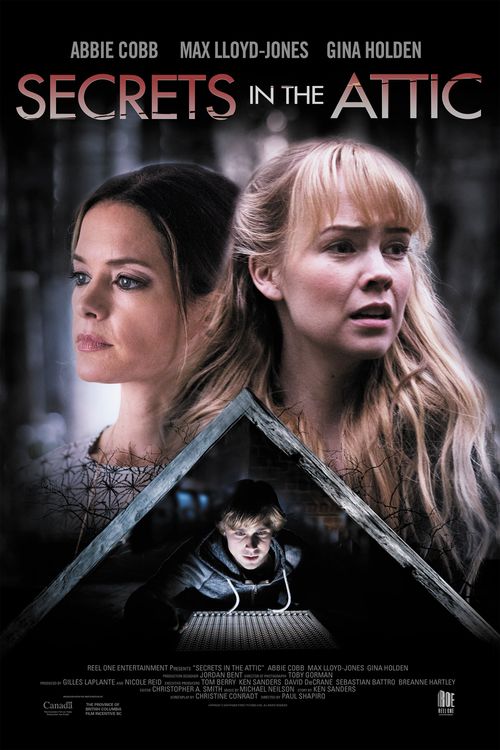 Boy in the Attic Poster