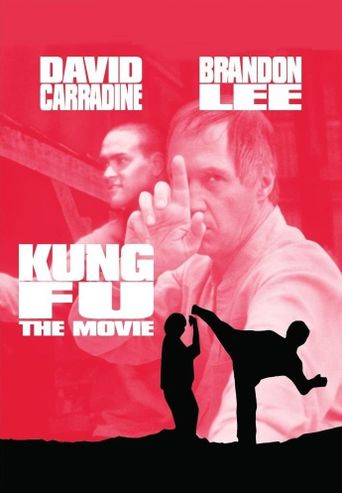  Kung Fu: The Movie Poster