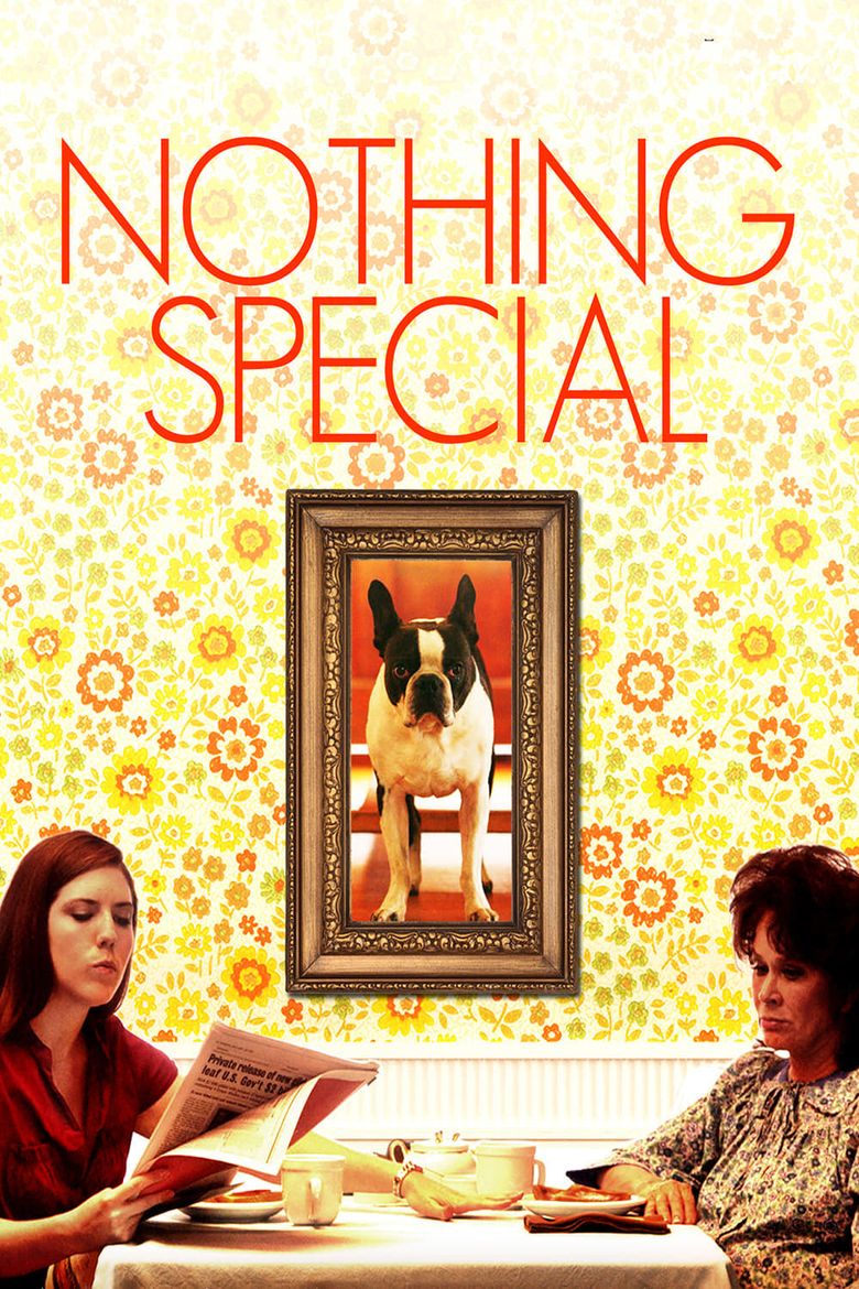 Nothing Special Poster