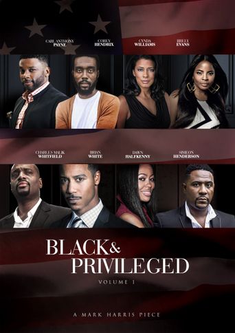  Black & Privileged: Volume 1 Poster