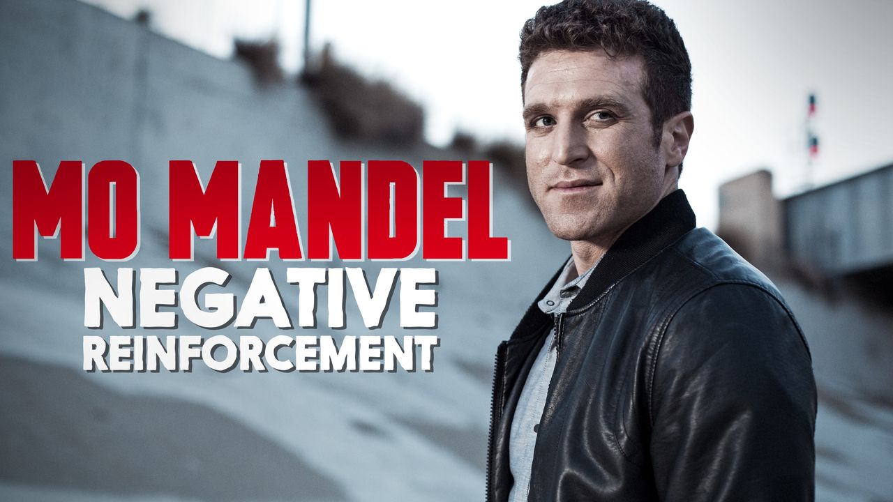 Mo Mandel: Negative Reinforcement Backdrop