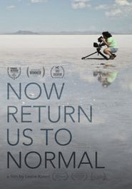  Now Return Us to Normal Poster