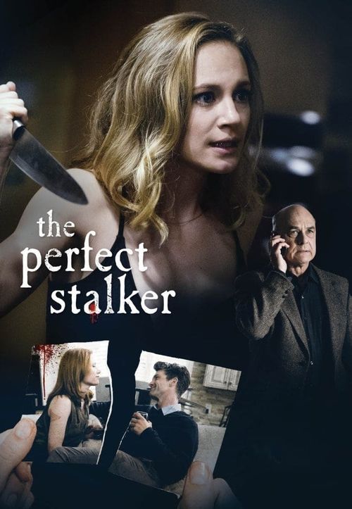 The Perfect Stalker Poster