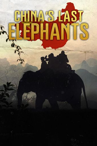 China's Last Elephants Poster