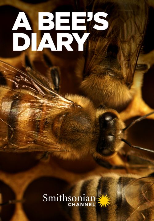 A Bee's Diary Poster
